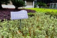 绿地温馨提示牌