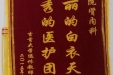 给肾病内科的锦旗