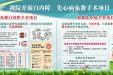 免费手术项目