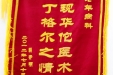 赠给老年病科的锦旗